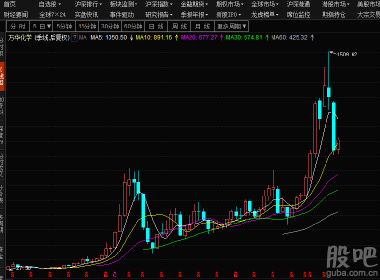 股吧600309，深度解析與前景展望，股吧600309深度解析與未來前景展望