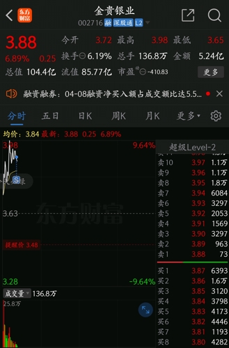 金貴銀業(yè)股票，投資機(jī)遇與挑戰(zhàn)并存，金貴銀業(yè)股票，投資機(jī)遇與挑戰(zhàn)的并存分析