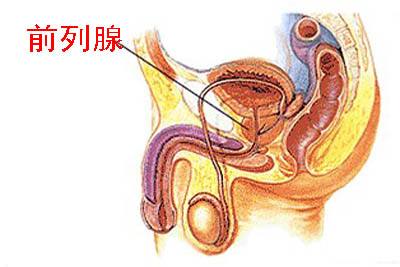 前列腺自我按摩手法圖解，一種有效的自我保健方法，前列腺自我按摩手法圖解，有效保健新方法！