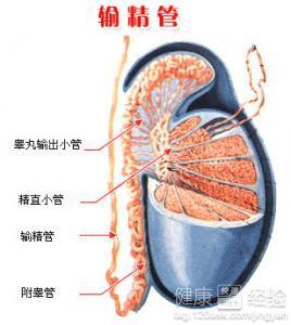 男性結(jié)扎手術(shù)費(fèi)用多少，全面解析費(fèi)用構(gòu)成與影響因素，男性結(jié)扎手術(shù)費(fèi)用詳解，構(gòu)成、影響因素全解析