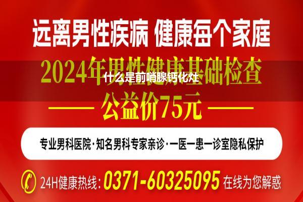 男性健康網(wǎng)上咨詢，探索新時代健康之路，男性健康網(wǎng)上咨詢，探索新時代的健康之路