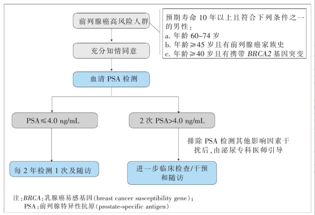 男性健康咨詢在線，探索新時代男性健康之路，男性健康咨詢在線，探索新時代男性健康之路的旅程