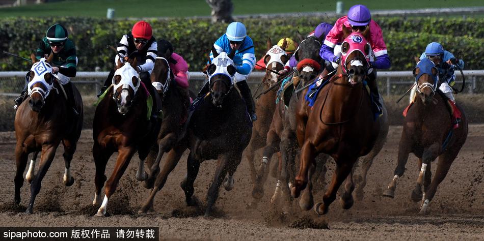 探索神秘數(shù)字組合，66O678與王中王定碼四不像一肖，揭秘神秘數(shù)字組合，王中王定碼四不像一肖與數(shù)字組合探索