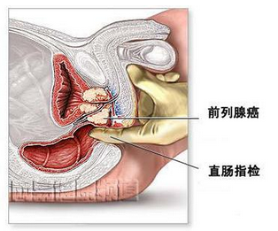 第450頁(yè)