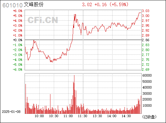 探索文峰股份，601010的獨(dú)特魅力與未來展望，文峰股份（601010）的獨(dú)特魅力及未來展望探索