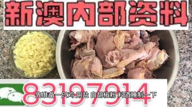 探索未來的澳門——關(guān)于新澳門資料雞號(hào)的深度解析，澳門未來展望，深度解析新澳門資料雞號(hào)