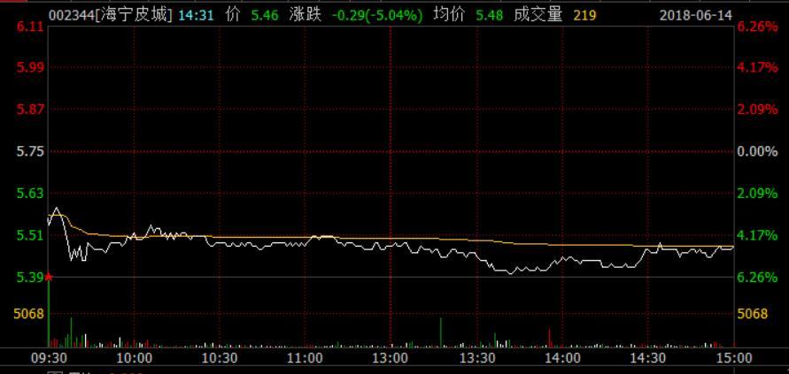 海寧皮城(002344)股吧深度解析，海寧皮城(002344)股吧全面深度解析