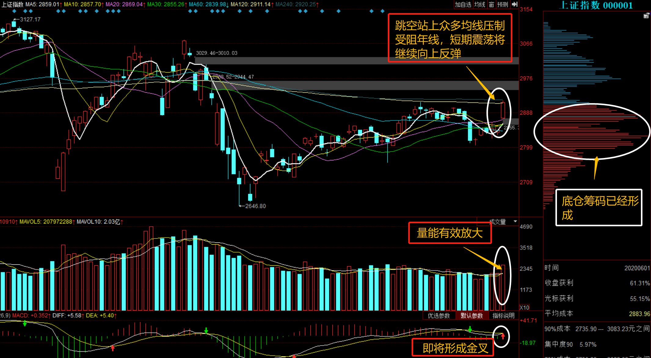 股票行情深度解析，聚焦600736，股票深度解析，聚焦代碼600736的行情動態(tài)