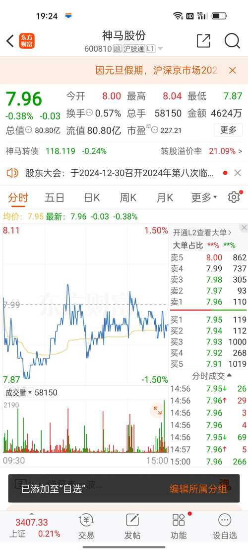 神馬股份（股票代碼，600810）股吧深度解析，神馬股份（股票代碼，600810）股吧全面深度解析